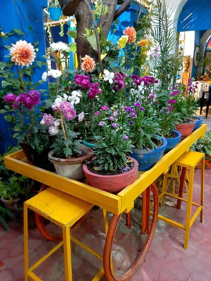 The Coral House Homestay By The Taj 아그라 외부 사진