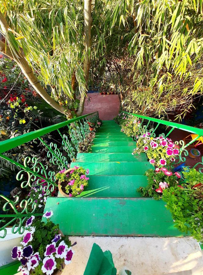 The Coral House Homestay By The Taj 아그라 외부 사진