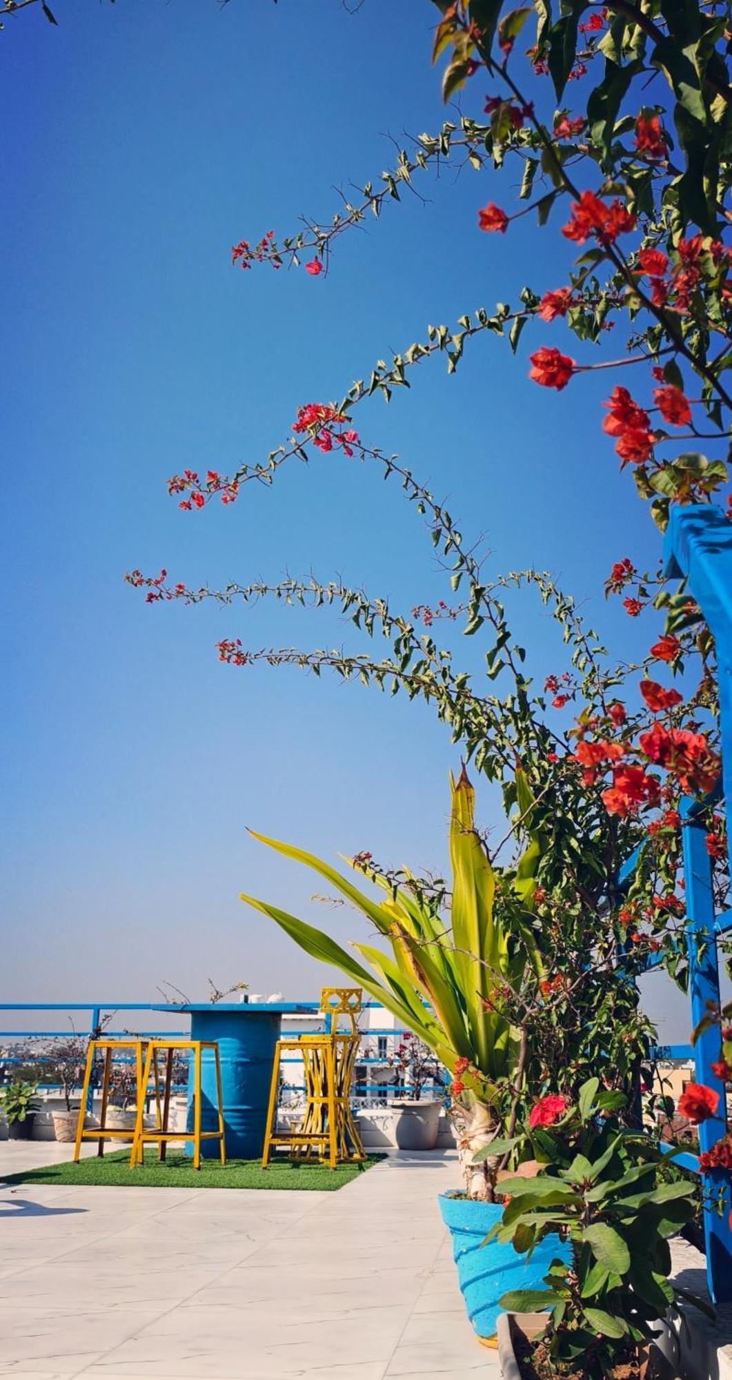 The Coral House Homestay By The Taj 아그라 외부 사진